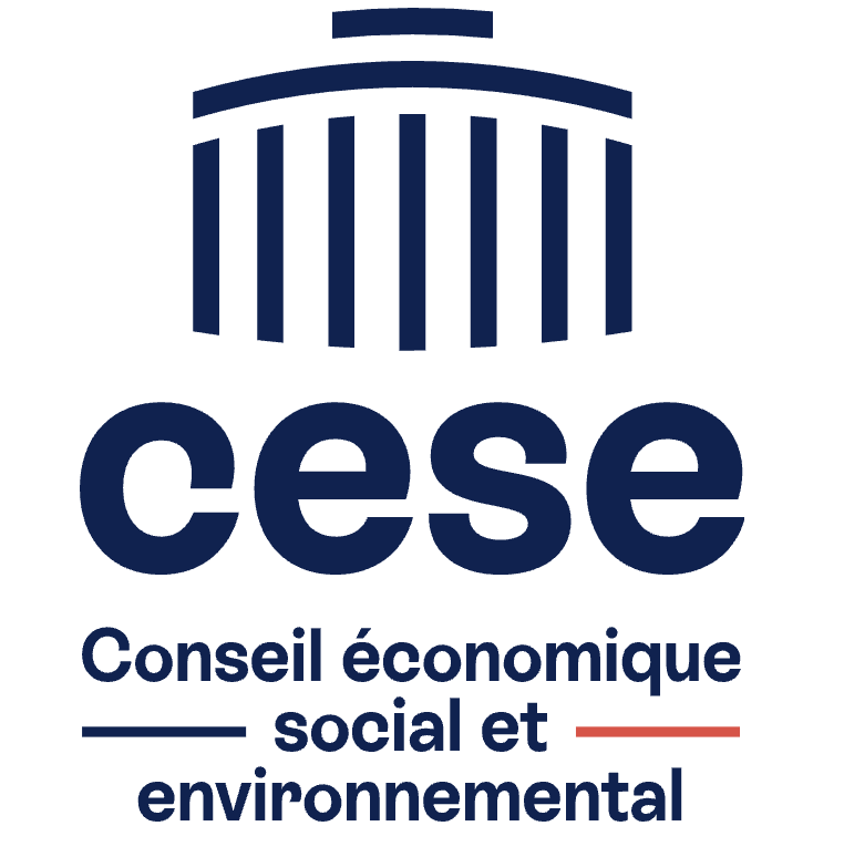 Conseil économique social et environnemental